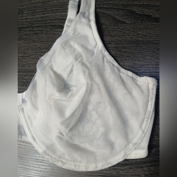 Liz Claiborne Semi Sheer & Lace Underwire Bra 40DD - Picture 3 of 16